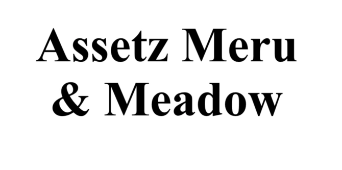 Assetz Meru & Meadow Logo